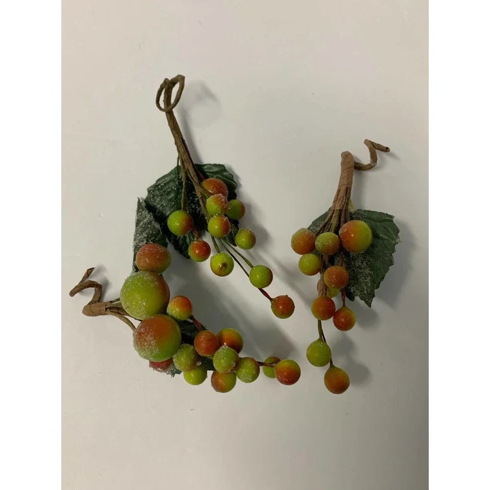 Unknown beaded fruit